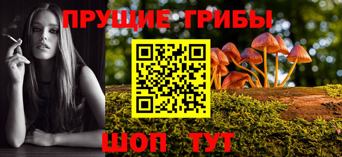 Псилоцибиновые грибы мухоморы Медногорск