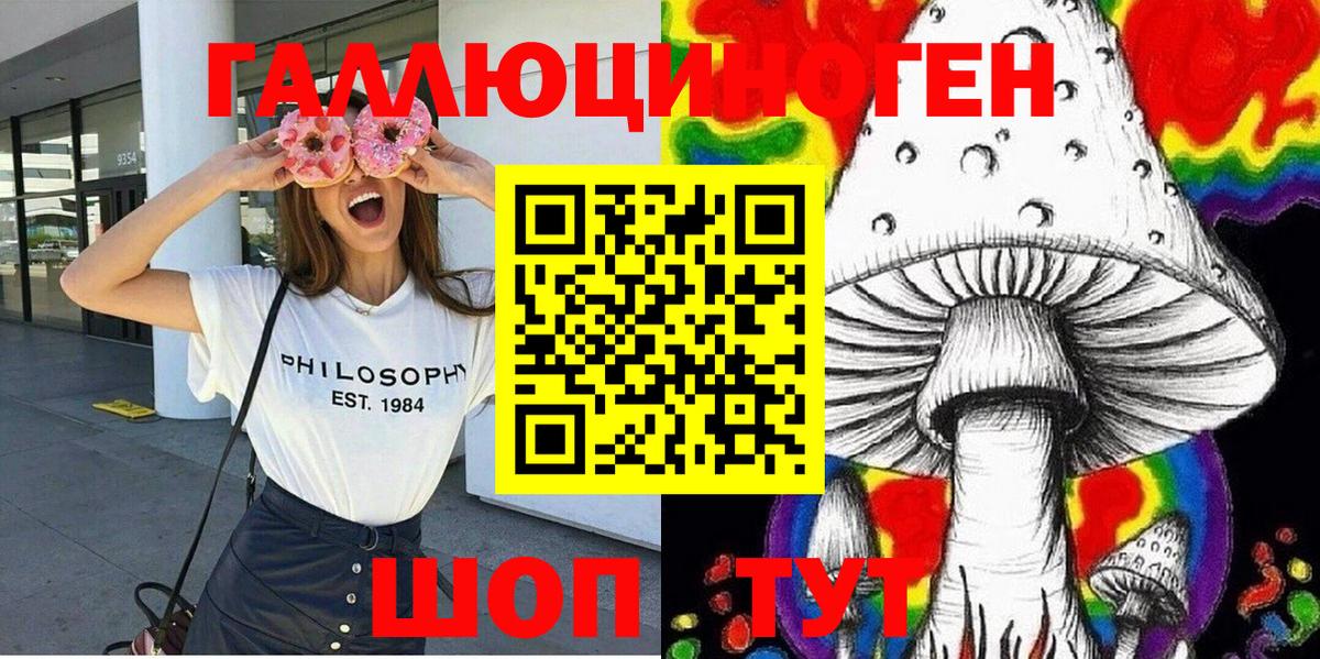 Медногорск  Псилоцибиновые грибы мухоморы  Вход с VPN 